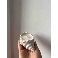 Meltt Candle Deniz Kabuğu Dekoratif Mum