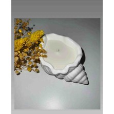Meltt Candle Deniz Kabuğu Dekoratif Mum