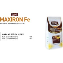 Dasol Max Iron 6.30.0 Me  6 Fe  2 Zn 1 kg Çiçek ve Meyve Tutturucu