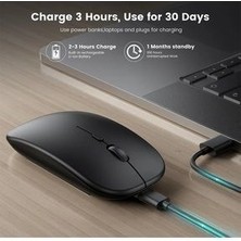 Şarjlı Mouse 2.4ghz USB Wireless ve Bluetooth Lu Sessiz Mat Siyah