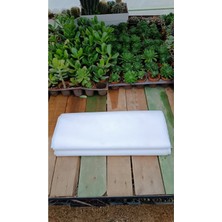 Plantis Botanik Don Kırağı Örtüsü 1,60X5 Metre Agril Zirai Isı Perdesi 30GR/M2