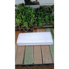 Plantis Botanik Don Kırağı Örtüsü 1,60X5 Metre Agril Zirai Isı Perdesi 30GR/M2