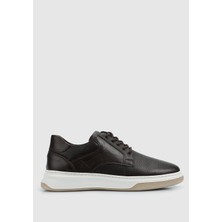 ProvoQ Kahve Deri Erkek Sneaker