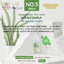 Hyggefoods Yeni Nesil Alkali Damla No:3 Detox Yüksek Antioksidanlı Ph Arttırıcı Su Içmeye Yardımcı