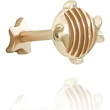 Balık Piercing