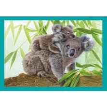 Clementoni Baby Cuddles Puzzle 4 In 1 21532
