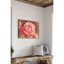 Artavessa Dekoratif Kanvas Tablo - FDC27