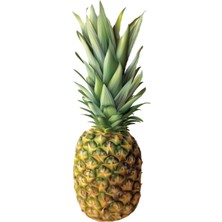 Little Crunchies Freeze Dried Dilim Ananas - 200 Gr. - Büyük Boy - Dondurularak Kurutulmuş