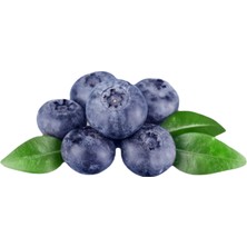 Little Crunchies Freeze Dried Bütün Yaban Mersini - 200 Gr. - Büyük Boy - Dondurularak Kurutulmuş