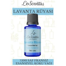 Le Scentus Lavanta Rüyası Esansiyel Koku Yağı 10 ml