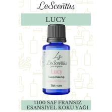 Le Scentus Lucy Esansiyel Koku Yağı ODAKOKUSU10ml