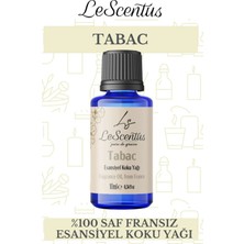 Le Scentus Tabac Esansiyel Koku Yağı ODAKOKUSU10ml