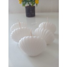 Qosrix 5'li Beyaz Mini Istiridye Deniz Kabuğu  Soya Doğal Vanilya Kokulu Mum Dekoratif