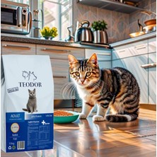 Teodor Balıklı %26 Protein Yetişkin Kedi Maması 15kg