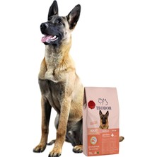 Teodor Adult Yüksek Enerjili Somonlu ve Pirinçli %28 Protein Yetişkin Köpek Maması 15kg