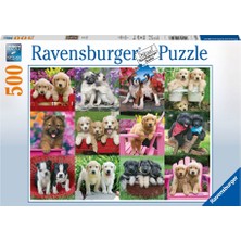 Ravensburger 500 Parça Puzzle Köpek Yavruları 146598