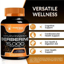 Wellnees Labsrx Berberine 15,000 Mg With Ceylon Cinnamon 120 Veggie Kapsül