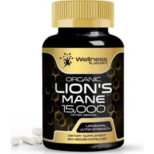 Wellnees Labsrx Lions Mane 15,000 Mg Per Serving 120 Veggie Kapsül