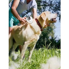 BilTeknik Otomatik Temizlenen Kedi Köpek Tarağı Tüy Toplama Fırçası