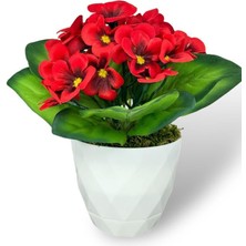 Yapay Çiçek Beyaz Saksıda Kadife Menekşe Gerçekçi Doku Kırmızı