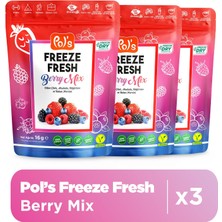 Pol's Freeze Fresh Berry Mix 16 g x 3 Adet