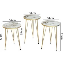 Mobigoom Zigon Sehpa Gold Efes Tel LUNA1032