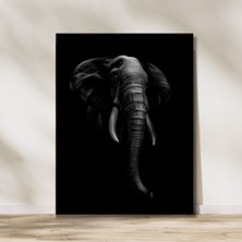 Arte Vista Elephant In Darkness Kanvas Tablo