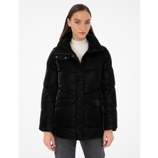 Pierre Cardin Kadın Siyah Mont 50290328-VR046