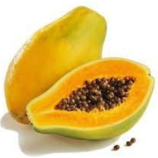 Papaya Ağacı Tohumu Ithal Tropikal Papaya Tohumu 3 Adet Tohum + Saksı Toprak