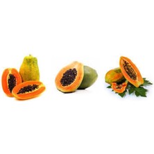 Papaya Ağacı Tohumu Ithal Tropikal Papaya Tohumu 3 Adet Tohum + Saksı Toprak