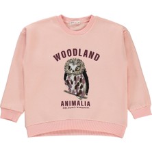Civil Girls Kız Çocuk Sweatshirt 6-9 Yaş Pudra