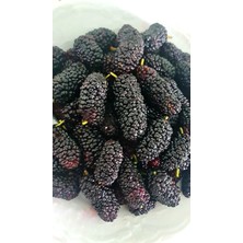 %100 Doğal Hatay Usulü Dut Şurubu 1 kg