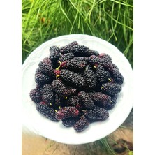 %100 Doğal Hatay Usulü Dut Şurubu 1 kg