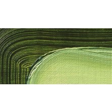 Schmincke Akademie 200 ml Yağlı Boya No 506 Sap Green