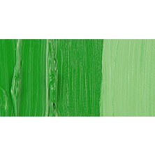 Van Gogh 40 ml Yağlı Boya Seri 1 No 614 Perm Green