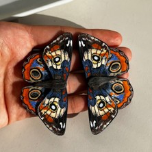 Gizy Store Polimer Kil El Yapımı Büyük  Boy Kelebek Küpe