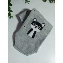 Bebek Meselesi 3 Çift Sevimli Renkli Desenli Kadın Patik Çorap