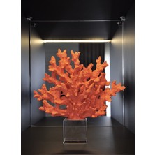 TeknoTrust Dekoratif Kristalli Turuncu Mercan Aksesuar, Cam, 10x11, Şık ve parlak tasarım