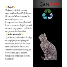 ÇamKum  Star Tozsuz ve Topaklanan Doğal Kedi Kumu 7lt