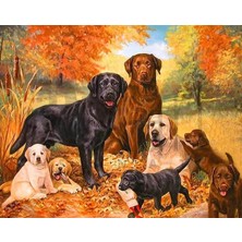 Pix Art Sanat Köpek 30 x 40 cm Elmas Mozaik Tablo