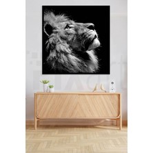 Pix Art Sanat Yalnız Aslan 40 x 40 cm Elmas Mozaik Tablo