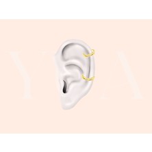 Yua Jewelry Minimal Yaprak Desenli Pırlantalı 14 Ayar Altın Kıkırdak/tragus Halka Piercing Küpe