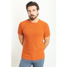Çizgili Kiremit Rengi Slim Fit Bisiklet Yaka Erkek T-Shirt