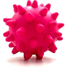 Tasma Market Zilli Diş Kaşıma Ödül Maması Konulabilen Köpek Topu Oyuncağı