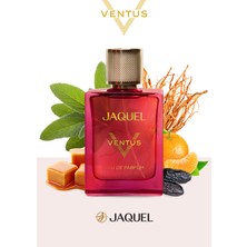 Jaquel Ventus Erkek Parfümü 100 ml