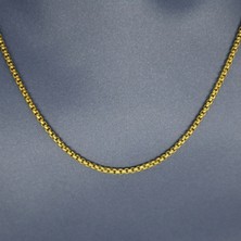 Hedea 2 mm Gold Kadın Çelik Kolye 60 cm