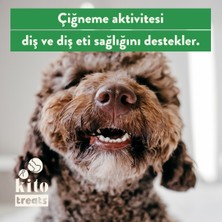 Kito Dana Kuyruk Çiğnemelik Köpek Ödül Maması %100 Doğal, Glutensiz, Organik 100 gr