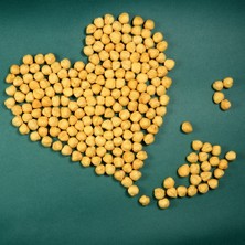 Vitamingo Çifte Kavrulmuş Fındık 1000 Gram