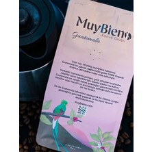Muybieno Guatemala Huehuetenango Çekirdek Kahve
