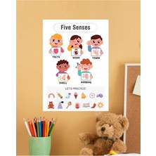 Five Senses-5 Duyu Ingilizce Çocuk Eğitim Tekli Pvc Poster 21X30 cm